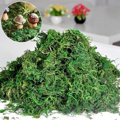 50/100/500g Artificial Moss Simulation Fake Green Plant Landscape Decorative DIY