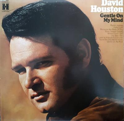 LP Record DAVID HOUSTON - Gentle On My Mind H31027 Harmony US Country Used