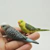 Simulation Mini Parrot Cute Bird Figurine Animal Home Decoration Miniature Garden Decoration