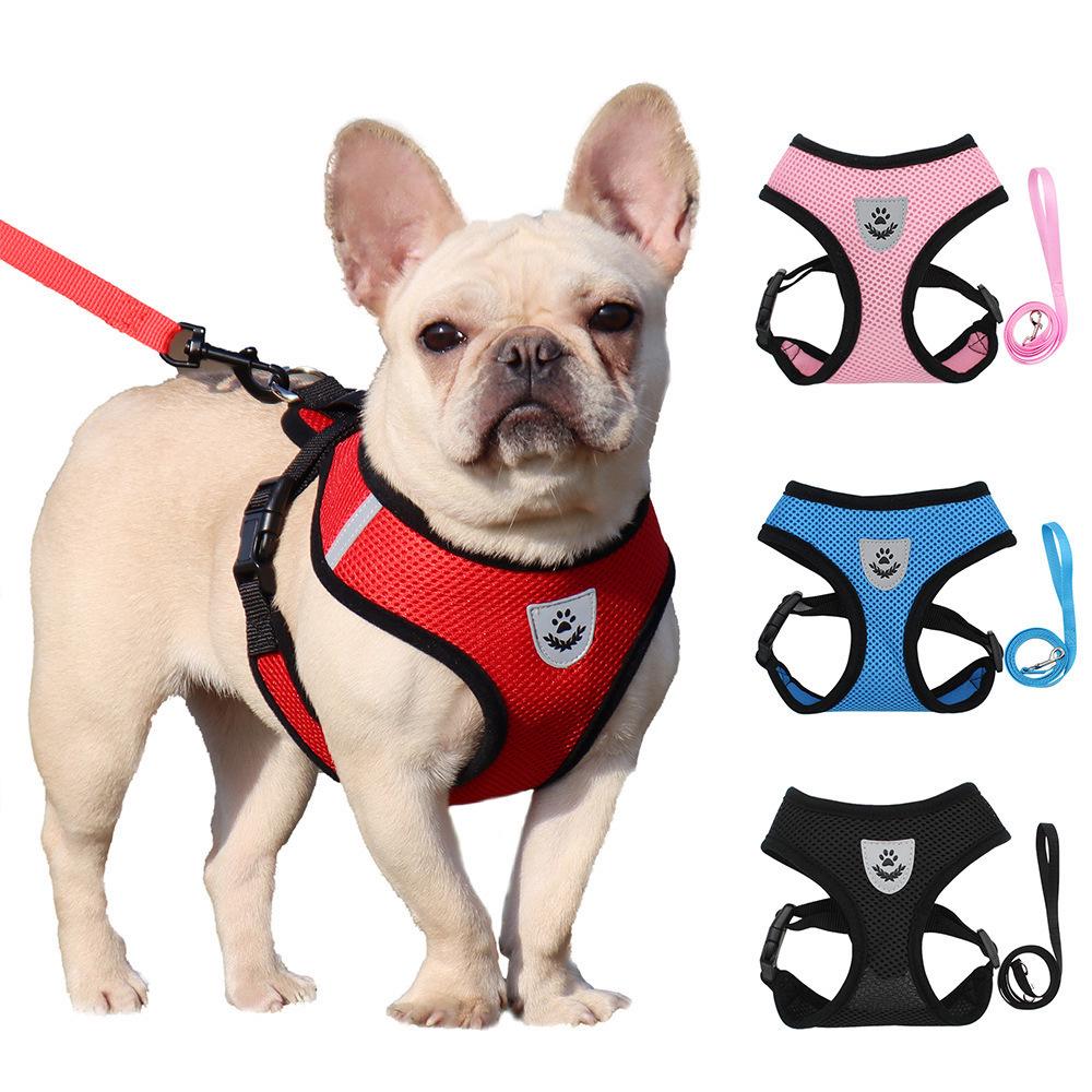 Breathable Dog Harness and Leash Set for Outdoor Walking