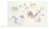 Watercolor One Flower a Day and How To Draw Painting - Works, Sketches,