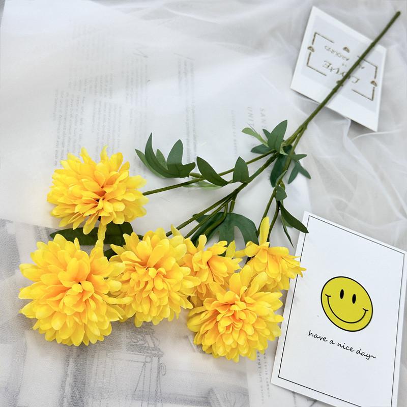 Realistic Fake Epaltes Australis Arrangement For Diy Home Decoration And Photography Props