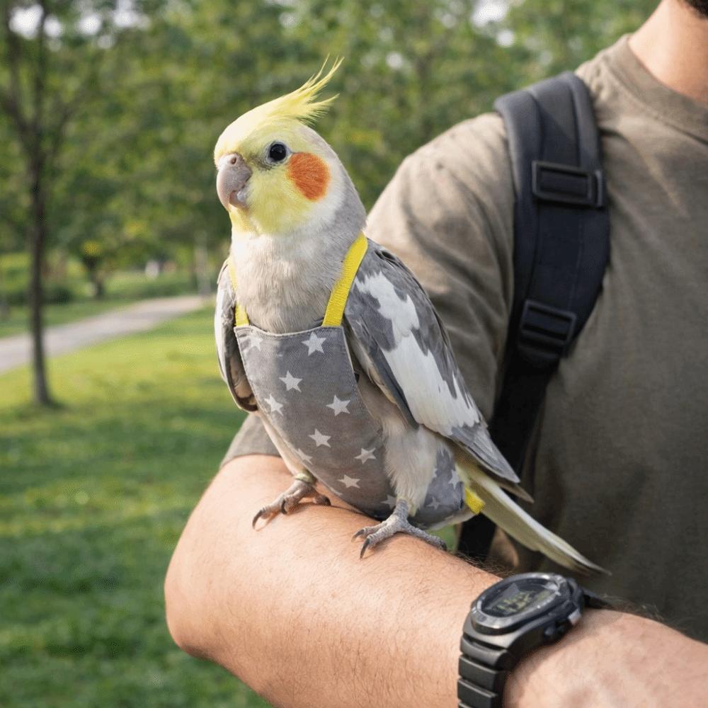 Adjustable Bird Flight Suits Breathable Escape Proof Parrot Outdoor Leashes Feces Pocket Bird Traction Rope Birds Supplies