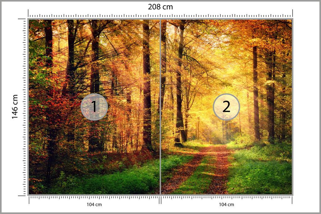 Photomural Forest Autumn Colors Non-Woven 208x146