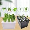 Hydroponiskt planteringskit för inomhusbruk Komplett planta-låda för att odla sallat, blommor på balkongen, i lägenheter & hotell