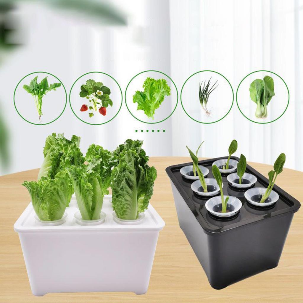 Hydroponiskt planteringskit för inomhusbruk Komplett planta-låda för att odla sallat, blommor på balkongen, i lägenheter & hotell