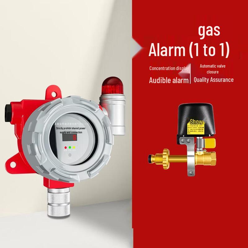 Lieve Digital Gas Alarm & Auto Shut-off Valve Set