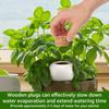 4Pcs Self Watering Spike 320ml Plant Automatic Irrigation System Device Planter Insert Flower Self for Potted Feeder
