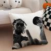 HipHop Underground SSuicideboys G59 Cushion Cover Throw Pillow Cover Hidden Button Durable Polyester Chair Cushion