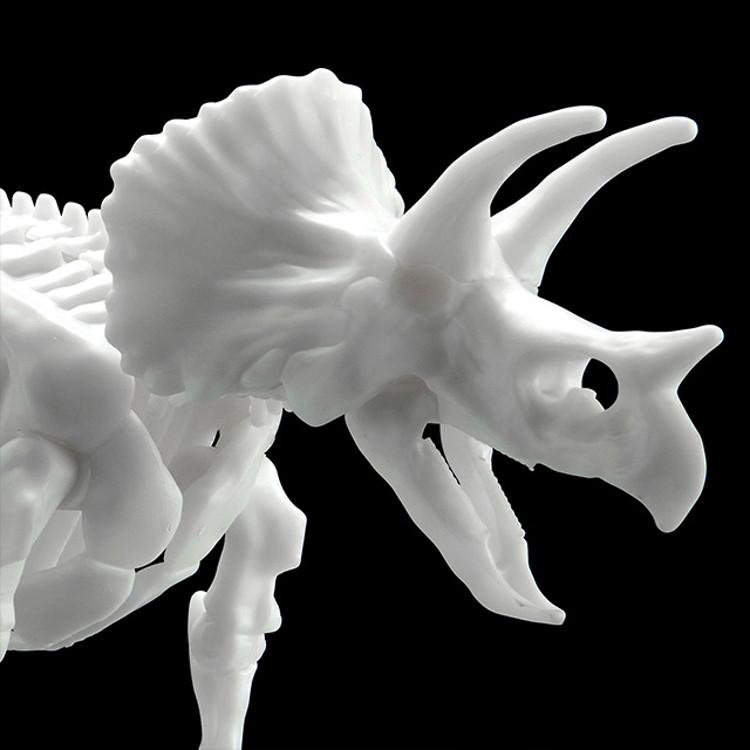 Dinosaur Model Kit Rymax Skeleton Triceratops, Korean popular bandai