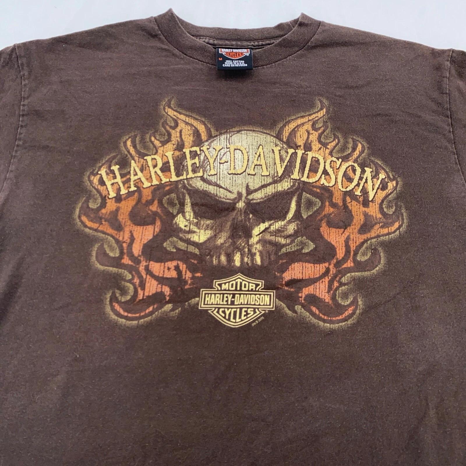 vtg HARLEY DAVIDSON MOTORCYCLE SKULL FLAMES ANN ARBOR MICHIGAN T-Shirt M biker S