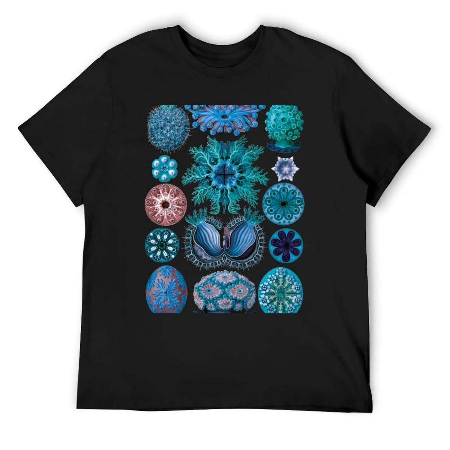 Ernst Haeckel Ascidiae Sea Squirts Teal Colorway T-Shirt sublime summer 2025 Luxury man mens workout shirts S