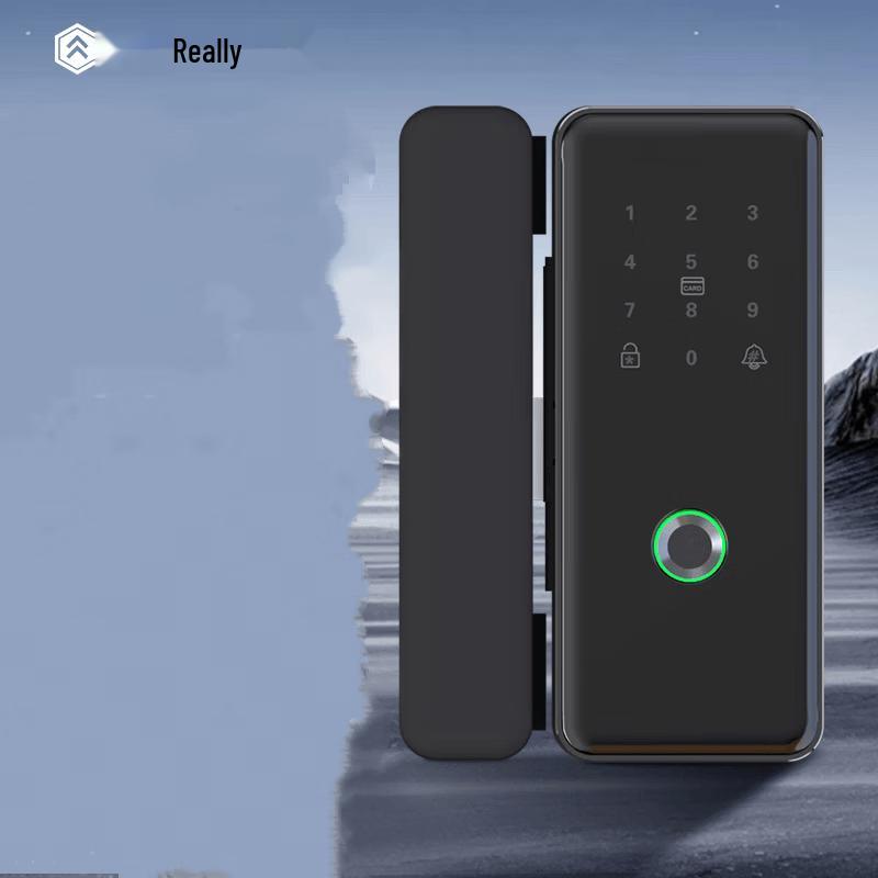 Realand F12 Smart Fingerprint Access Lock CN plug (adapter included)