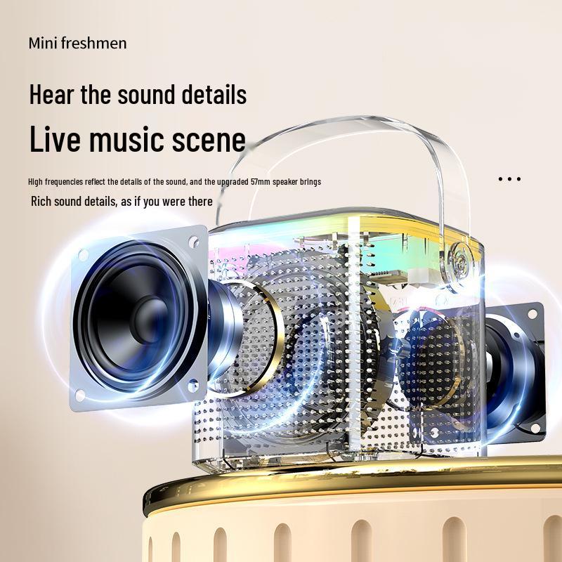 Y1 Bluetooth Wireless Children's Home KTV Microphone Speaker Set