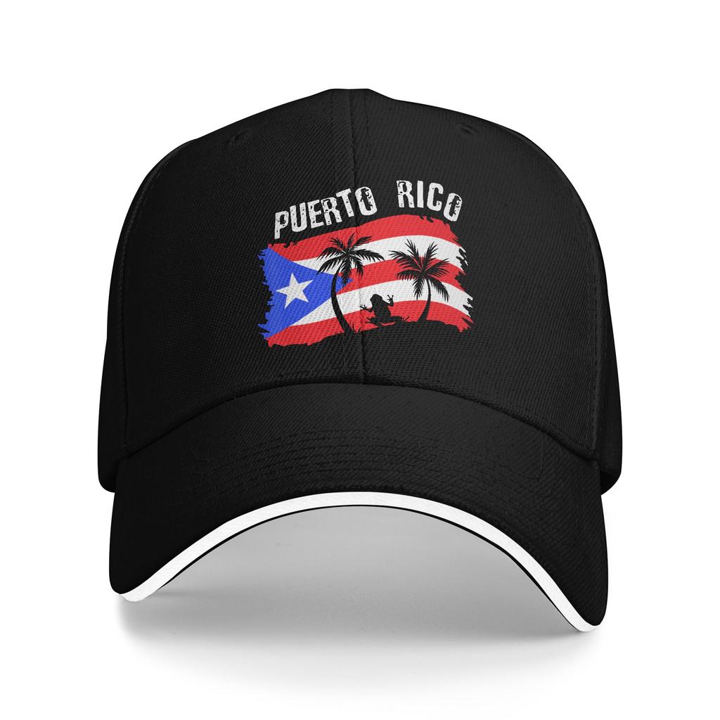 Coqui Frog Puerto Rico Flag Puerto Rican Casual Baseball Cap  Tennis Skate Trucker Hat Fashion Baseball Caps