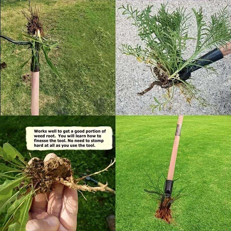 Stainless Steel Manual Weed Puller - Detachable Garden Weeding Tool with Sharp Claws for Efficient Root Removal, Ideal for Lawn and Garden Care