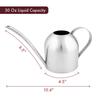 AIMOONSA Arrosoir acier inox 30 oz (0,9 L) - Bec long antigoutte, remplissage facile, idéal plantes & jardin