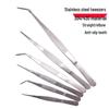 304 Stainless Steel Round Tip Tweezers with Teeth, Non-Slip, Ideal for Aquatic Plant Care and Gardening.