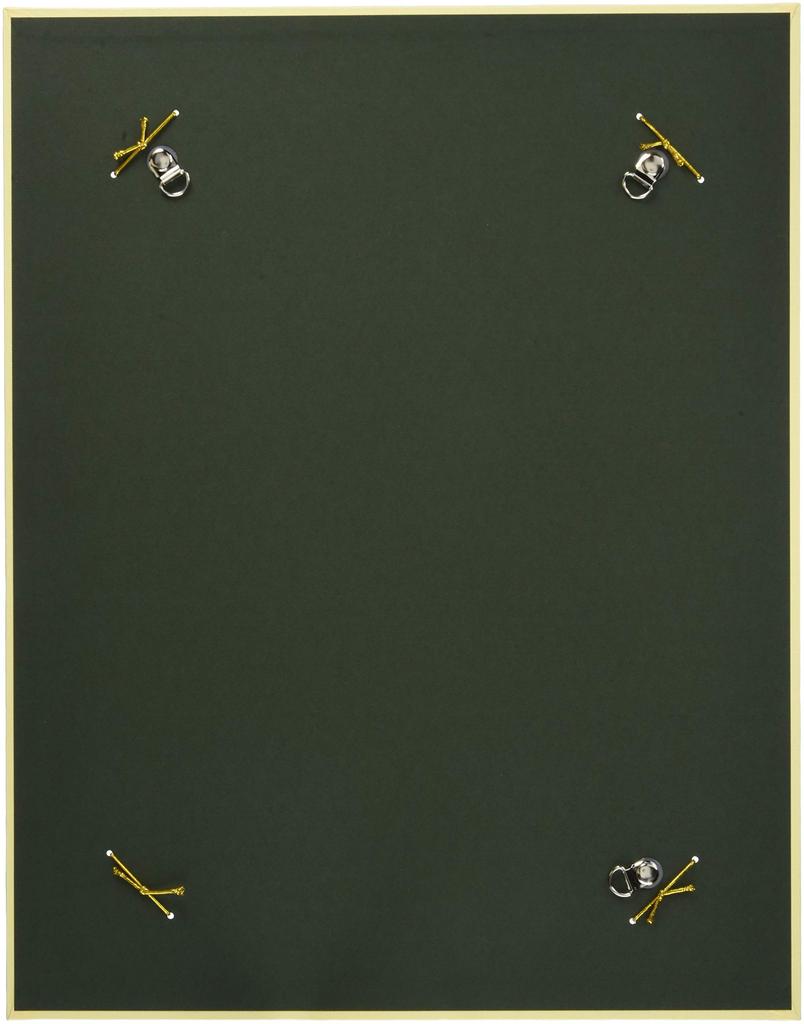 Marco de Fotos Taniguchi Shoudo, Colgador de Papel de Color para Papel Japonés, Tsumugi de Color, Patrón de Castaña, TC38-7