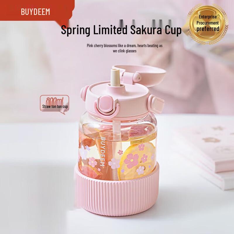 Buydeem High-Temperature Glass Water Bottle with Tea Infuser 800ml