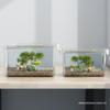 High Clarity Fish Tank & Ecosystem Box for Goldfish, Turtles, Hamsters with Ecological Landscaping Storage