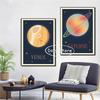 Retro Sonnensystem Planeten Venus Mars Uranus Poster Druck Leinwand Malerei Astronomie Wandkunst Bild für Wohnzimmer Heimdekor