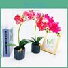 Simulated Phalaenopsis Potted Artificial Flower Desktop Decoration Ornament