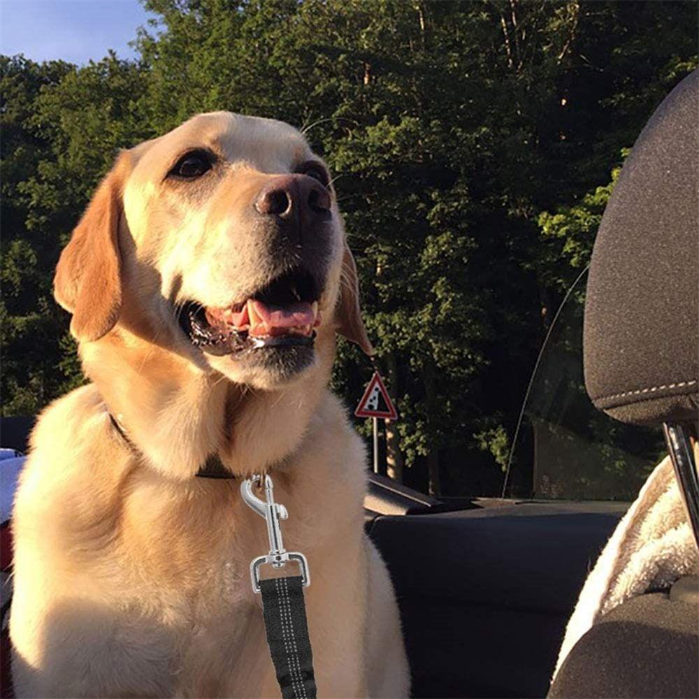 New Adjustable Dog Seat Belt Elastic Retractable Dog Leashes Durable Pet Safety Rope Pet Supplies
