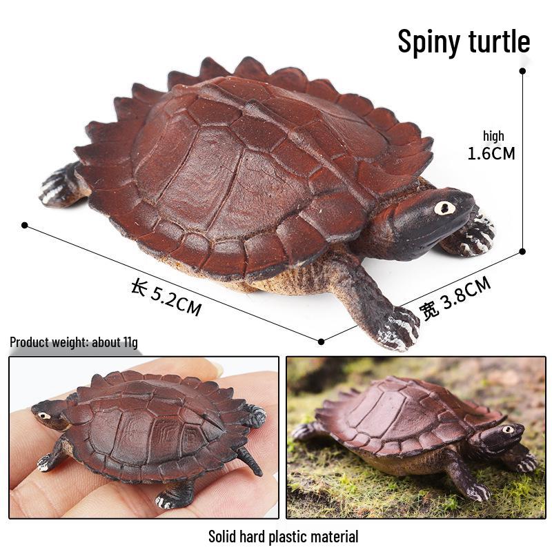 Children's Cognitive Marine Animal Models: Sea Turtle and Tortoise Toys