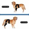 Adjustable Pet Joint Protection Covers Comfortable Breathable Dog Knee Brace Rear Leg Brace Dog Knee Pads Leg Injury Care