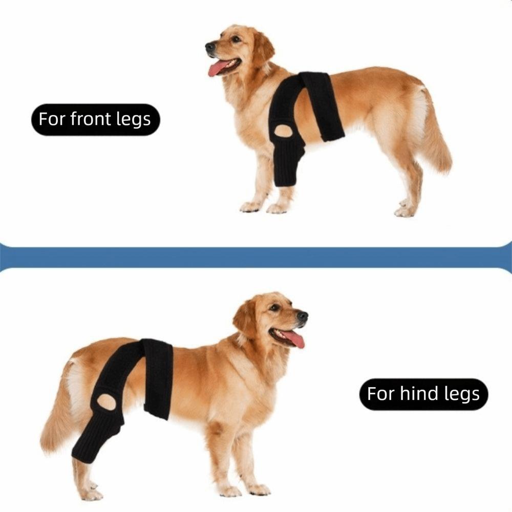 Adjustable Pet Joint Protection Covers Comfortable Breathable Dog Knee Brace Rear Leg Brace Dog Knee Pads Leg Injury Care
