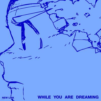 New Link (New Link) - 1st Album: While You Are Dreaming