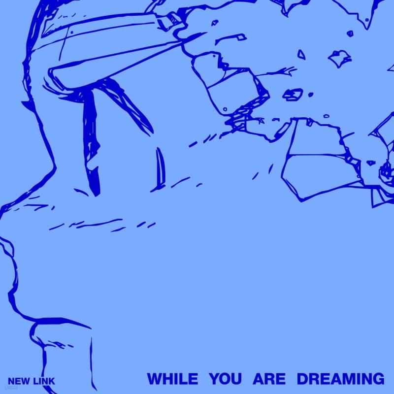 

New Link (New Link) - 1st Album: While You Are Dreaming