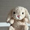 Sweet Little Jellycat-Style Rabbit Plush Toy
