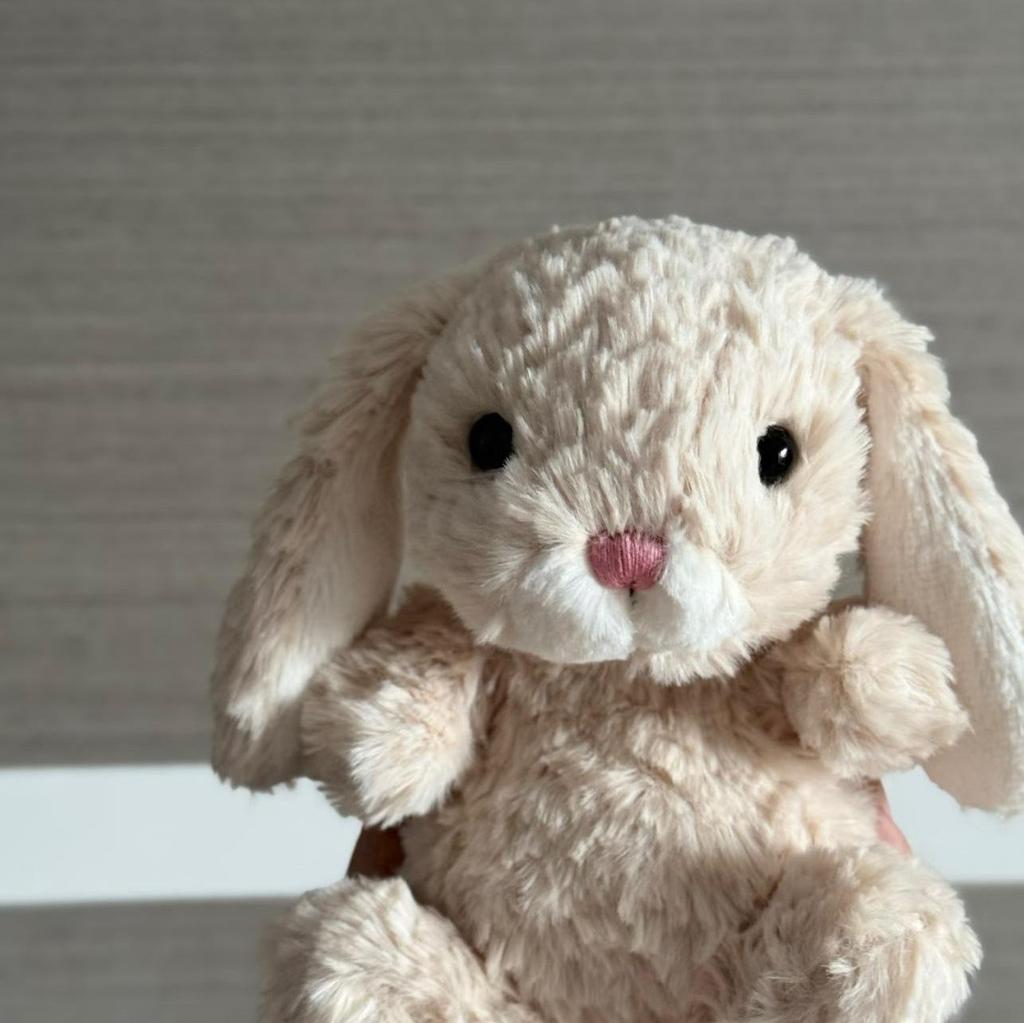 Sweet Little Jellycat-Style Rabbit Plush Toy