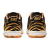 Nike Dunk Low GS Year of the Tiger DQ5351-001