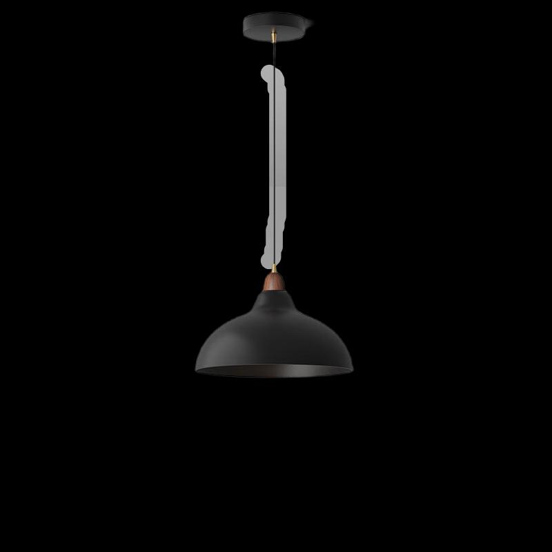 Xuan Yong Modern Art Pendant Lamp