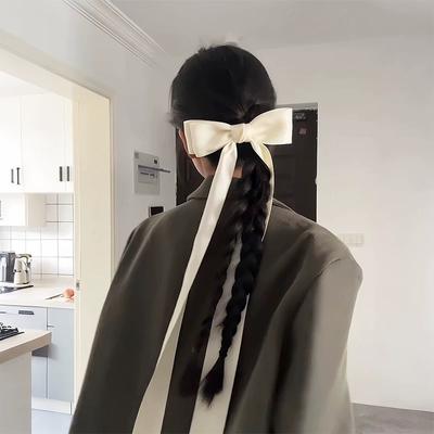 Korean Accessories Hair Bow Clips for Girls Women Pin Designer Popular  Ribbon New In Gift Kpop Leading Fashion Trendy Crab