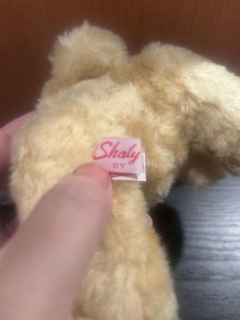 [USED] shaly bear teddy bear detachable hoodie