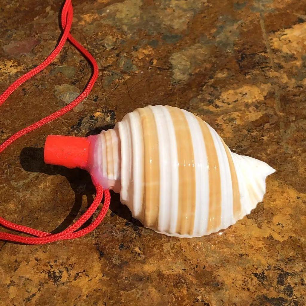 Street Stall Conch Shell Whistles & Toys: Creative Souvenirs