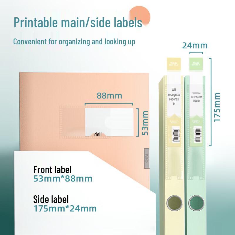 Deli A4 Plastic File Box (5-Pack, Mixed Colors)