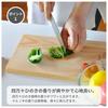 Tosa Ryu TOSARYU SHIMANTO HINOKI Handy Hinoki Cutting Board with Stand (S) 28x18x1.5cm Made in Japan