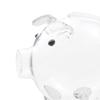 Sparschwein aus Glas, lehrreich, bezaubernd, große Geldverzierung für Teenager