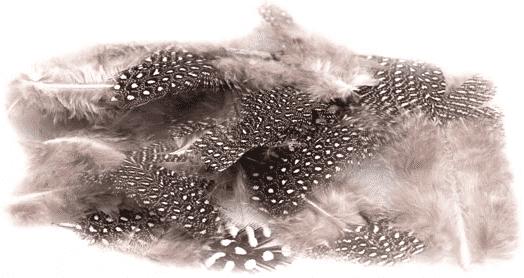 White Spotted Feathers Pack 3G