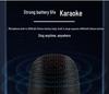 Wireless KTV Speaker with Bluetooth Lyrics Display & Reverb Control