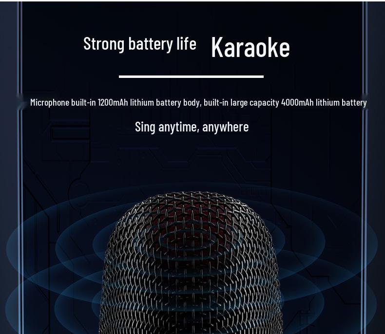 Wireless KTV Speaker with Bluetooth Lyrics Display & Reverb Control