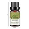 10ML Rosemary Essential Oil Moisturizing Rosemary Single Massage Oil