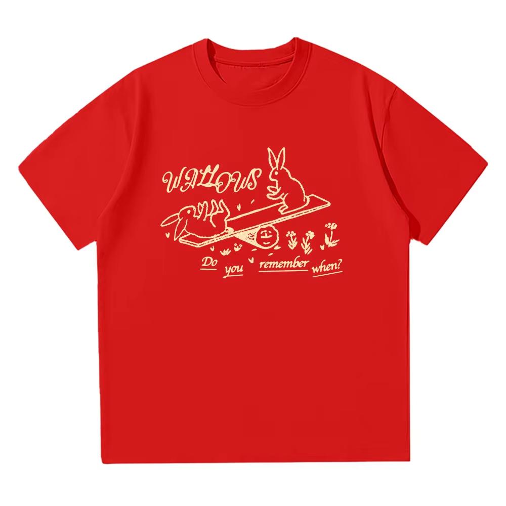 

Wallows Rockdo you Remember When Tee Fan Rock Music Cotton Women/Men Summer Casual Y2K T-shirts Autumn and winter innerwear 4XL