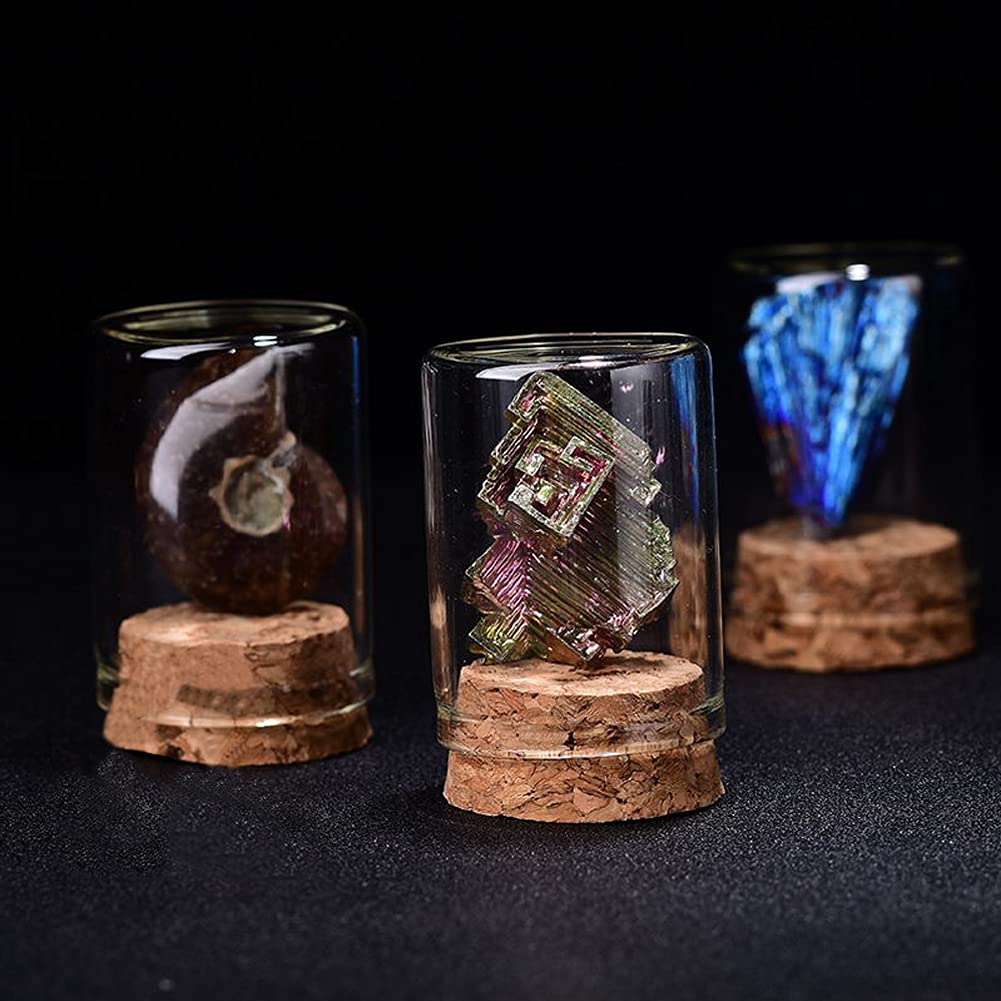 HIGHAWK Rock Specimen Natural Stone Glass Cover Ore Dustproof Figurine Ornament Display Specimen Box Table Collection Geological Science Decoration