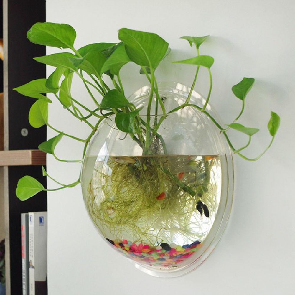 hanging fish tank